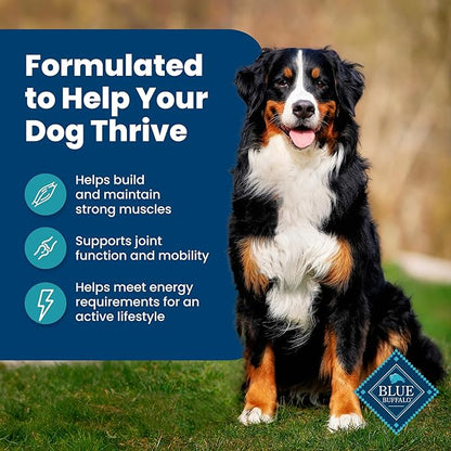Blue Buffalo Life Protection Formula Adult Dry Dog Food, Helps Build and Maintain Strong Muscles, Made with Natural Ingredients, Fish & Brown Rice Recipe, 15-lb Bag