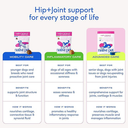 Native Pet Hip & Joint Advanced Care Dog Joint Supplement Powder for Mobility & Movement Support, Joint Supplement for Dogs with HMB, UC-II Collagen, Green Lipped Mussel & Hyaluronic Acid – 30 Scoops