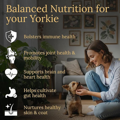Multivitamins, Balanced Nutrition for Your Yorkie, 90 Count, Made in the USA with Real Bacon