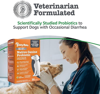 Zesty Paws Native Canine Probiotic - for Occasional Diarrhea + Digestive Health, Gut Flora & Immune System Support - Scientifically Studied & Veterinarian Formulated Probiotics for Dogs - 30 Packets