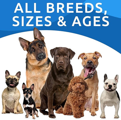 BARK&SPARK Dog Allergy Relief Soft Chews for Skin Health & Seasonal Allergies - Anti-Itch Supplement w/Omega-3, Quercetin & Bromelain Immune Treats for Dry Skin & Hot Spots - Chicken - 240ct