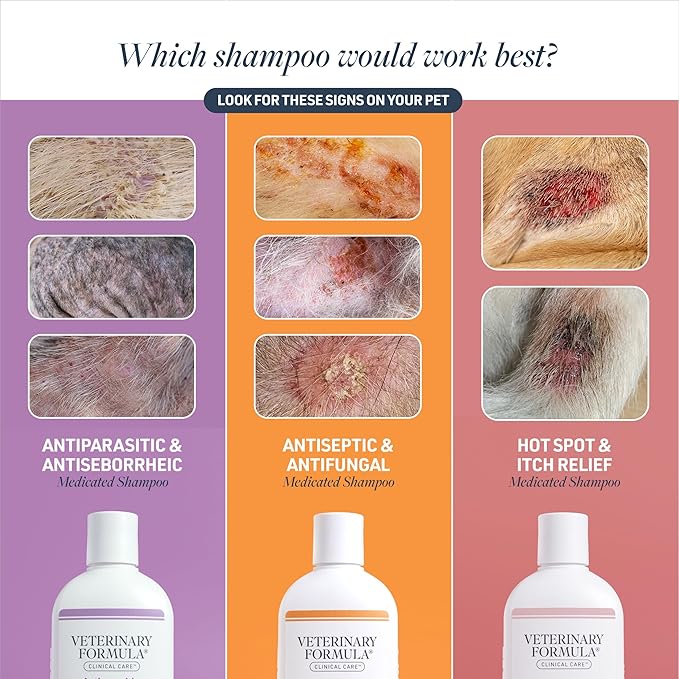 Veterinary Formula Clinical Care Antiparasitic & Antiseborrheic Medicated Dog Shampoo & Clinical Care Antiseptic and Antifungal Medicated Shampoo for Dogs & Cats