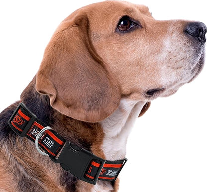 Pets First Collegiate PET Collar New Version Oklahoma State Cowboys Dog Collar, Size Small. Best Sports Team Color for Dogs & Cats. A Shiny & Colorful Dog & Cat Collar Licensed by The NCAA