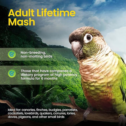 Harrison's Bird Foods Adult Lifetime Mash- Certified Organic, Non-GMO, Maintenance Formula for Healthy Birds, Minimally Processed Powdered Food for Parrots, Conures, Budgies, Lovebirds etc 454g / 1lb