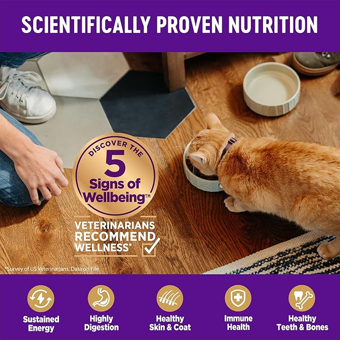 Wellness Complete Health Adult Dry Cat Food, Natural, Wholesome Grains Kibble, Salmon Recipe, 5 lb Bag