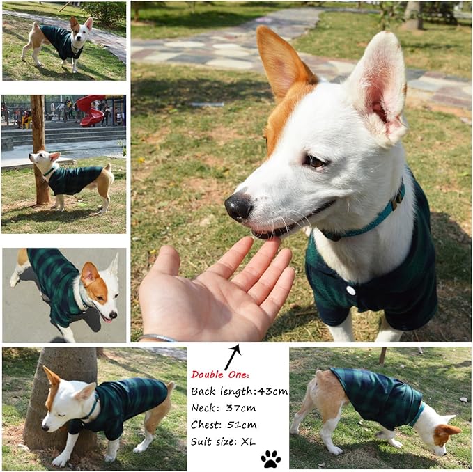 Dog Shirt,Koneseve Pet Plaid Polo Clothes Shirt T-Shirt, Sweater Bottoming Shirt ,Cat Puppy Grid Adorable Wearing Stylish Cozy Halloween,Christmas Costumes {Green;XS/Extra Small}