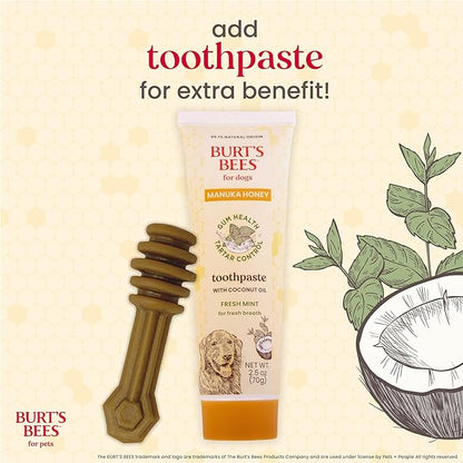 BURT'S BEES FOR PETS Dental Treats for Dogs with Manuka Honey & Ginger, Holistic, Plant-Based Oral Care, 98% Natural Origin Formulas, Peanut Butter Flavor, Dog Treats Small Dogs, Sz Small 10ct, 7 oz