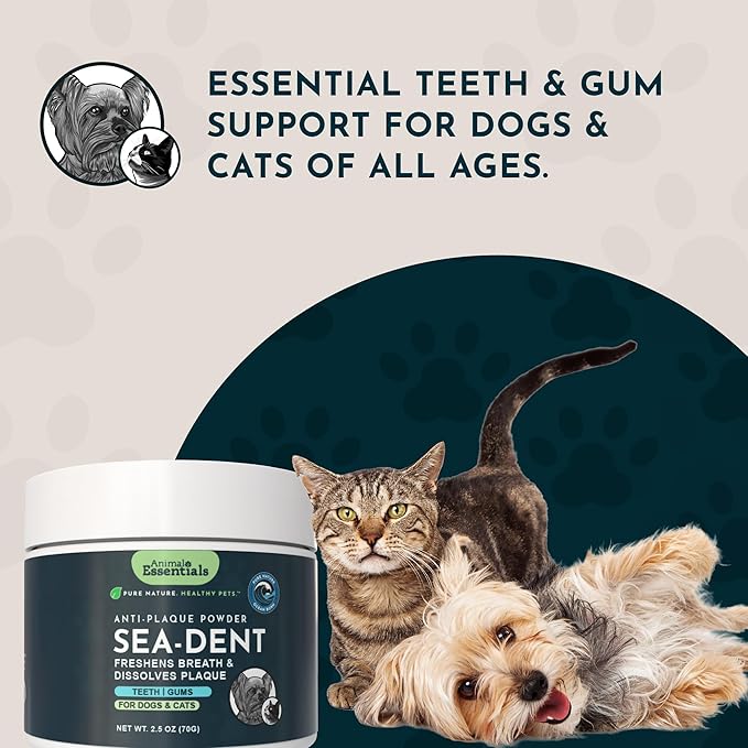 Animal Essentials Sea-Dent for Dog Teeth - Dental Powder for Dogs & Cats Teeth & Gums, Natural Oral Formula for Plaque & Tartar, Bad Breath Oral Freshener & Cleaner - 2.5 oz