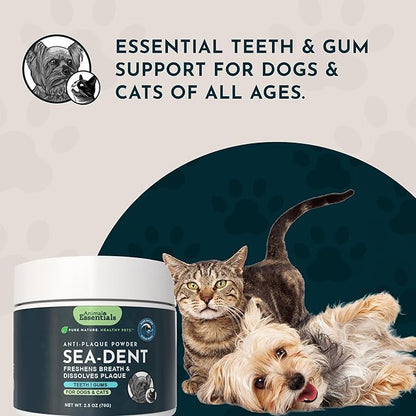 Animal Essentials Sea-Dent for Dog Teeth - Dental Powder for Dogs & Cats Teeth & Gums, Natural Oral Formula for Plaque & Tartar, Bad Breath Oral Freshener & Cleaner - 2.5 oz