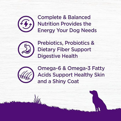 Wellness Complete Health Adult Dry Dog Food, Wholesome Grain Kibble, Natural, Chicken and Oatmeal Recipe, 30 lb Bag