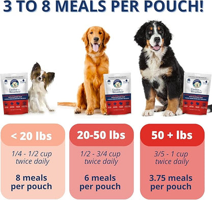 Under the Weather Bland Diet for Dogs | Easy to Digest Stomach Support for Sick Dogs | Contains Electrolytes, All Natural | 6 Pack - Turkey, Oatmeal, Sweet Potato & Slippery Elm - 6oz