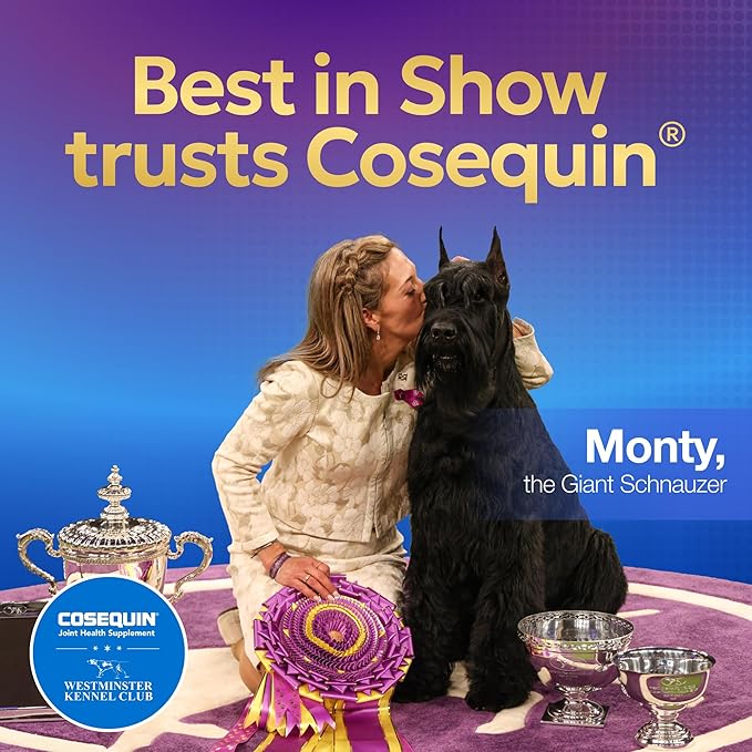Nutramax Laboratories Cosequin DS Plus MSM Professional Line for Dogs, 60 Soft Chews
