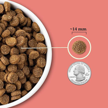 ACANA Wholesome Grains Dry Dog Food Red Meat & Grains Beef Pork & Lamb Recipe 22.5lb Bag