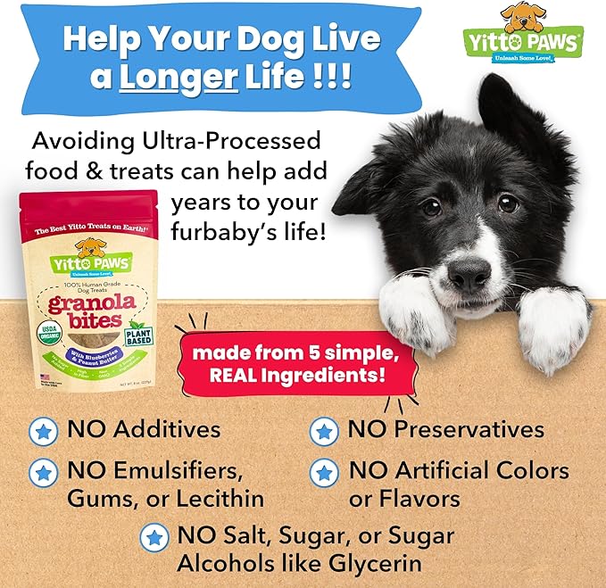 Organic Dog Treats – Crunchy, Blueberry & Peanut Butter Training Dog Biscuits – Vegan, Human-Grade, No Sugar Added – Healthy, All Natural – Made in USA, (8 oz)