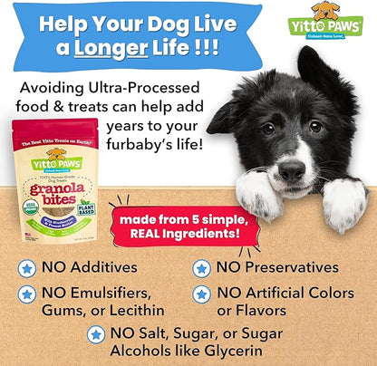Organic Dog Treats – Crunchy, Blueberry & Peanut Butter Training Dog Biscuits – Vegan, Human-Grade, No Sugar Added – Healthy, All Natural – Made in USA, (8 oz)