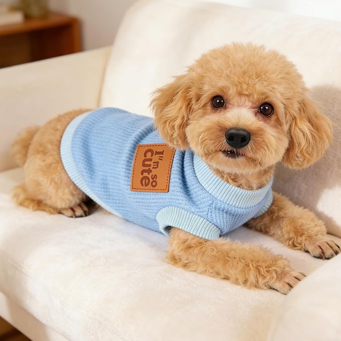 2 Pack Dog Shirts Dog Clothes for Small Dogs Waffle Puppy T-Shirt Soft Sleeveless Pet Clothes Lightweight Medium Large Doggy Outfit Cat Clothing Summer (Blue+Grey, XX-Small)