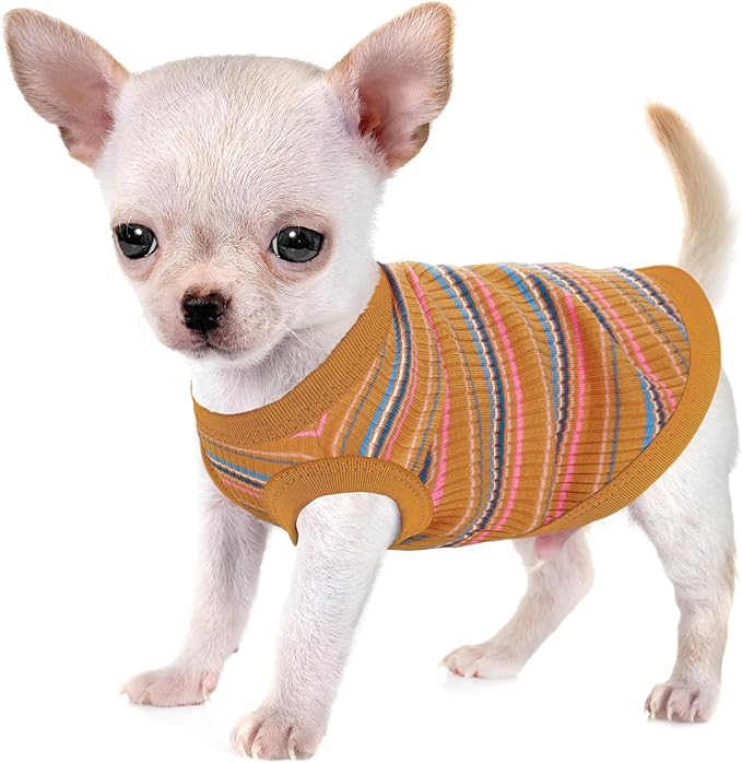Elevate Your Pet's Comfort and Fashion: Premium 100% Cotton Rib Dog Shirt Vest for Small Breeds Like Chihuahuas, Yorkies, and Puppies .Year-Round Style with Tank-Style Puppy Attire Ginger X-Small