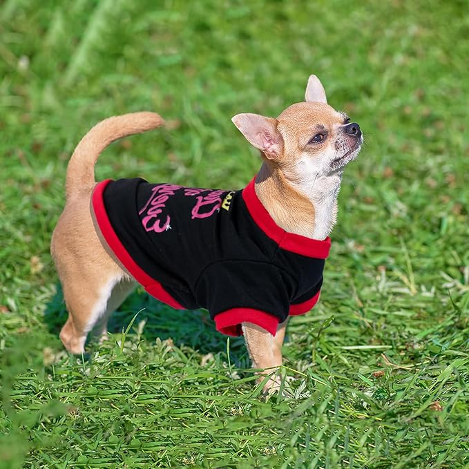 4 Pieces Dog Shirts Spring Summer Dog Clothes Cute Pattern Soft Breathable Outfit Pet T-Shirt Puppy Clothes for Small Dogs Girl and Cat (X-Small)