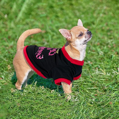 4 Pieces Dog Clothes for Small Dogs Girl Spring Summer Puppy Shirts Cute Soft Pet T-Shirt Cat Outfit for Pets Teacup Chihuahua Yorkie Clothing,XX-Small