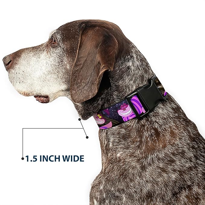 Buckle-Down Plastic Clip Collar - Cheshire Cat Tree Poses - 1.5" Wide - Fits 13-18" Neck - Small
