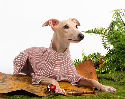 Dog Sweaters for Small Dogs Girls Boys, Striped Pet Sweaters for Fall Winter Dog Clothes, Turtleneck Pullover Knitwear for Small Medium Large Dogs