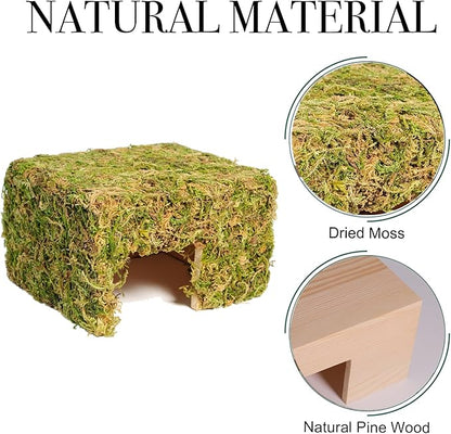 Hamster Hideout - Large, Natural Moss, Handcrafted for Syrian Hamsters, Rats & Guinea Pigs, Hermit Crab,Hedgehogs,Lizards & Other Reptiles（Square, Large）