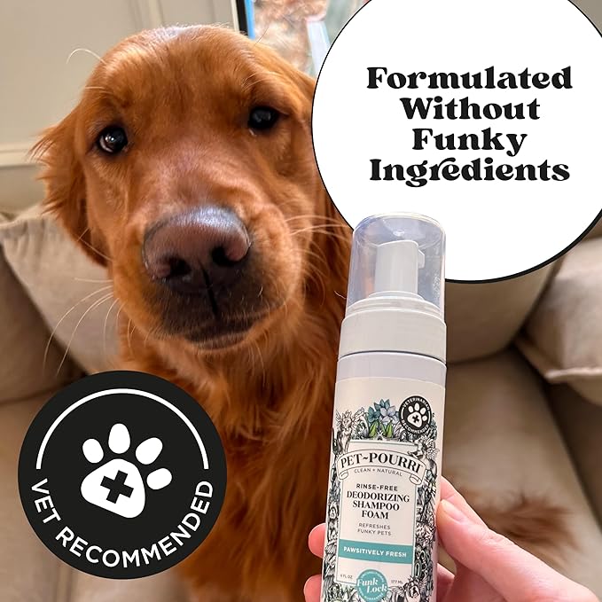 Poo-Pourri Rinse-Free Deodorizing Dry Shampoo for Dogs & Cats – Moisturizing Skin & Coat Soothing Formula - Plant Based Ingredients – Pineapple, Jasmine & Pear – No Rinse Foam Shampoo for Pet Odor