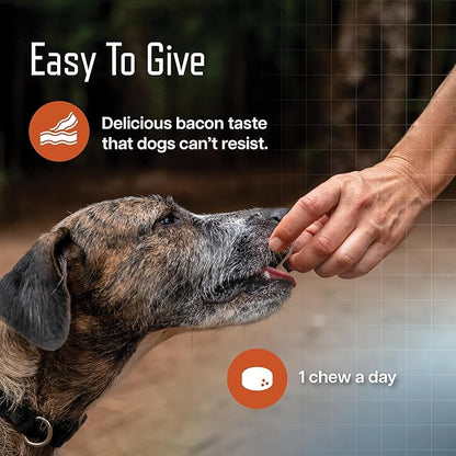 Virbac URSOLYX™ Soft Chews for Dogs | Muscle Health Support for Senior, Active or Recovering Dogs, Large Over 60lbs | 60 Count 2- Month Supply