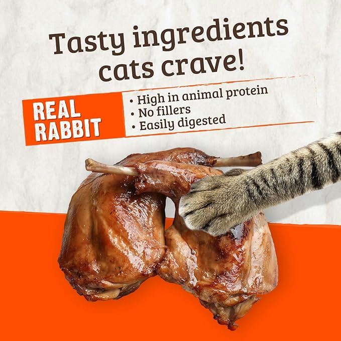 Rawz Real Rabbit Dry Food for Cats with Freeze Dried Coating (7.8 Pound) Made in USA