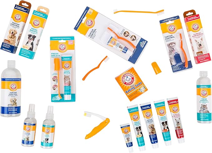 Arm & Hammer for Pets Tartar Control Enzymatic Toothpaste for Dogs Reduces Plaque & Tartar Buildup Safe for Puppies Beef Flavor, 2.5 Ounces Dog Toothpaste (Pack of 1)