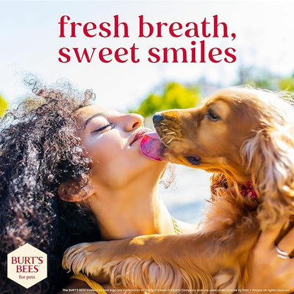BURT'S BEES FOR PETS Dental Treats for Dogs with Manuka Honey & Ginger, Holistic, Plant-Based Oral Care, 98% Natural Origin Formulas, Sweet Potato Flavor, Dog Treats Small Dogs, Sz Sm 10ct, 7 oz