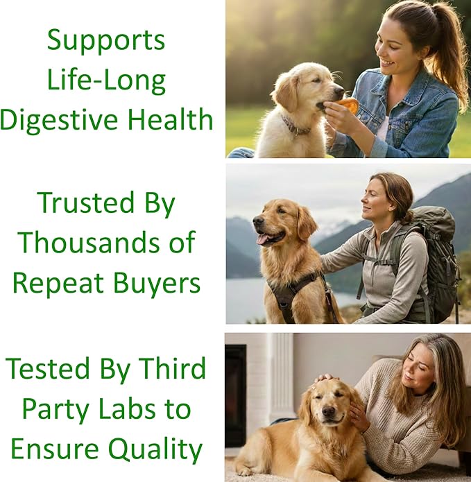 TummyWorks Probiotics for Dogs. 120 Probiotic Soft Chews for Digestive Health, Gut, Immunity, Energy, Allergies, Skin & Coat. 10 Strains, 5 Billion CFUs with 6 Enzymes. Made in USA
