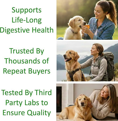 TummyWorks Probiotics for Dogs. 120 Probiotic Soft Chews for Digestive Health, Gut, Immunity, Energy, Allergies, Skin & Coat. 10 Strains, 5 Billion CFUs with 6 Enzymes. Made in USA