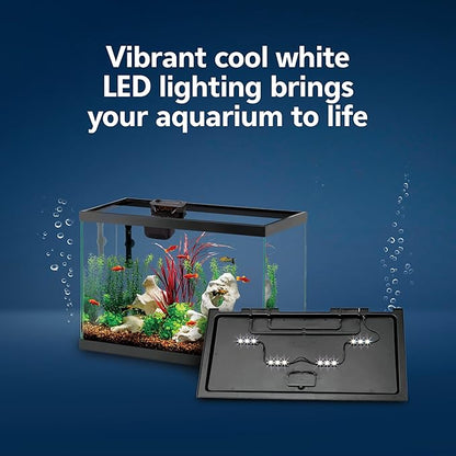 Aqueon Aquarium Starter Kit with Smart Clean Filtration and LED Lighting, Freshwater and Saltwater Fish, 20-Gallon