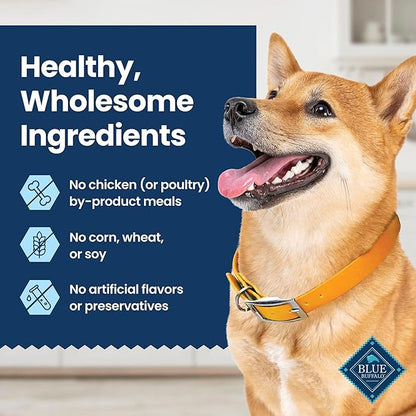 Blue Buffalo Dental Chews Medium Natural Dog Treats, Chicken & Spearmint 23-oz Bag (28 Count)