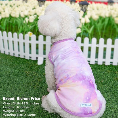 cyeollo 2pack Dog Shirt Cooling Breathable Sleeveless Summer Clothes for Dogs, Intant Cool T Shirts for Small Dogs, Purple L
