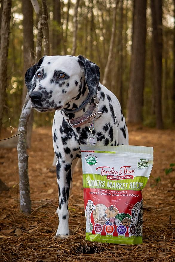 Dalmatian dog standing in a forest with a bag of Tender & True dog food packaging.