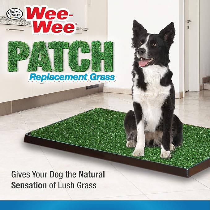 Four Paws Wee-Wee Premium Patch Indoor and Outdoor Pet Potty for Dogs l Dog Potty Training l Artificial Grass l Wee-Wee Patch