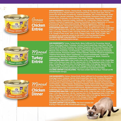 Wellness Complete Health Gravy and Minced Variety Pack Adult Canned Wet Cat Food, Natural, Protein Rich, Grain Free, Chicken and Turkey Lovers, 3 oz, Pack of 24 Cans