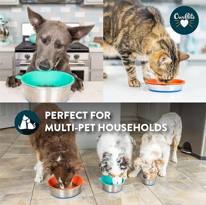 Our Pets DuraPet Stainless Steel Dog Bowl with 3 Pieces TPE Inserts for Puppies or Small Sized Dogs, Holds 1.25 Cups
