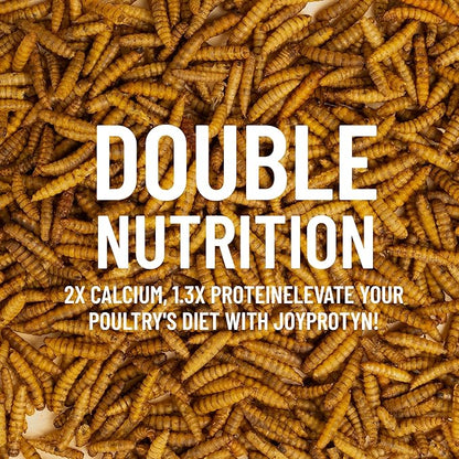 10LB Non-GMO Dried Black Soldier Fly Larvae for Chickens – 85X More Calcium Grubs Than Mealworms for Strong Eggshells & Healthy Growth - High Protein for Chickens, Birds, Ducks, Geese & Pets