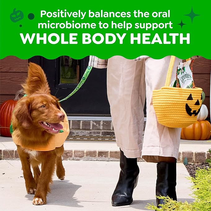 Greenies Veterinarian-Recommended, Limited-Edition Natural Dental Dog Treats Regular Size, Pumpkin Spice Flavor, 12 oz. Pack, 12 Count