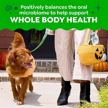 Greenies Veterinarian-Recommended, Limited-Edition Natural Dental Dog Treats Regular Size, Pumpkin Spice Flavor, 12 oz. Pack, 12 Count