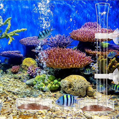 Chengu 3 Pieces Shrimp Feeding Tube and Dish Set, 8 Inch Glass Shrimp Feeder Tube and 2 Aquarium Dish Bowl Fish Tank Feeding Supplies for Fish Tank Aquarium