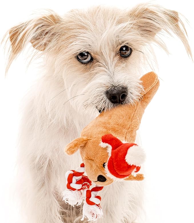 Dog Toys | Winter Plush Toy Walrus Stuffed Animal for Dogs | Small Eco Friendly Toy - Easy to Clean and Made from Non Toxic Materials