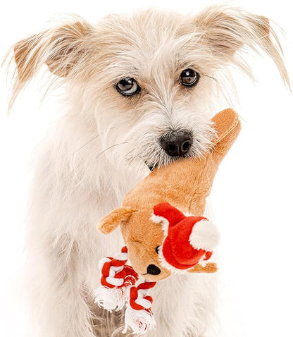 Dog Toys | Winter Plush Toy Walrus Stuffed Animal for Dogs | Small Eco Friendly Toy - Easy to Clean and Made from Non Toxic Materials