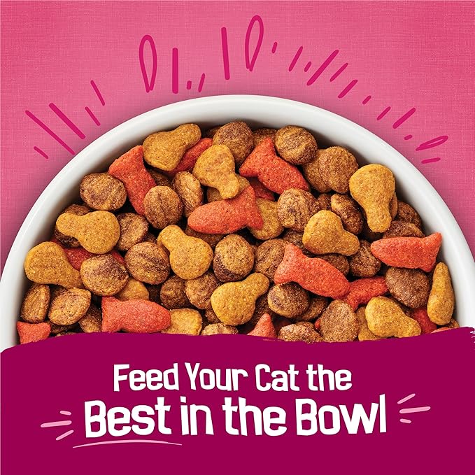 Purina Friskies Gravy Swirlers with Flavors of Chicken, Salmon and Gravy Dry Cat Food - 22 lb. Bag