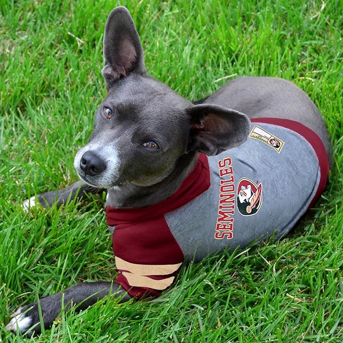 Pets First Hoodie for Dogs & Cats, X-Small. | Collegiate Licensed Dog Hoody Tee Shirt | Sports Hoody T-Shirt for Pets | College Sporty Dog Hoodie Shirt.