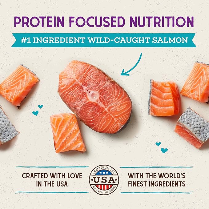 Stella & Chewy's Raw Coated Cat Food - High Protein, Grain-Free Kibble with Wild-Caught Salmon - Premium Digestive Support with Probiotics - Natural Small Kibble - Perfect For Picky Eater - 2.5lb Bag