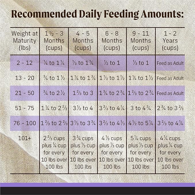 Merrick Backcountry Grain Free Dry Puppy Dog Food, Kibble with Freeze Dried Raw Pieces, Chicken Recipe - 10.0 Lb. Bag